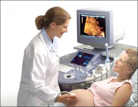 专业助孕公司:燕窝营养价值高